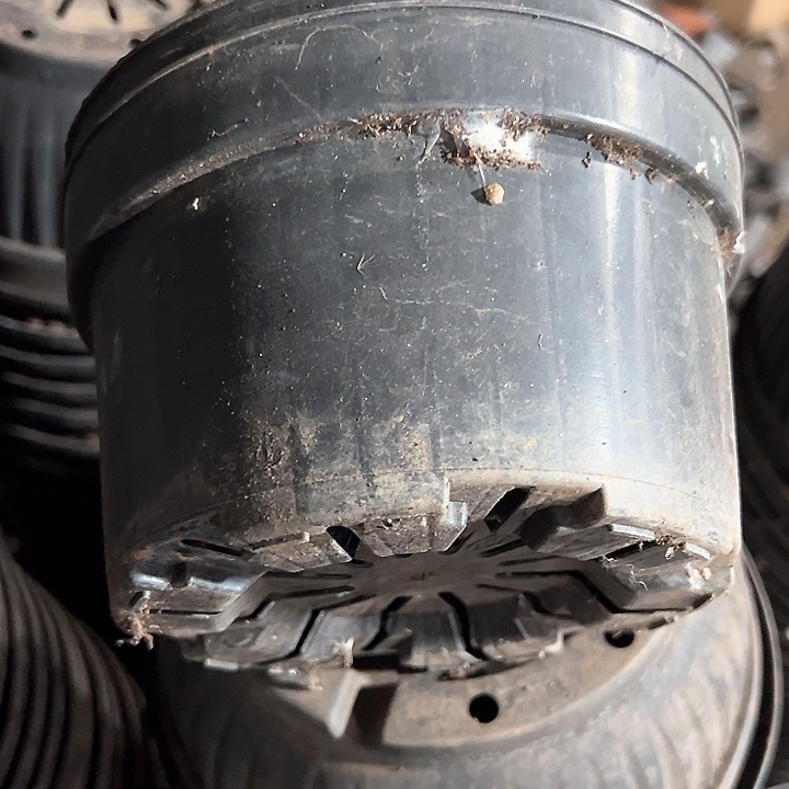 塑料口径18 高度10.5 一组30个