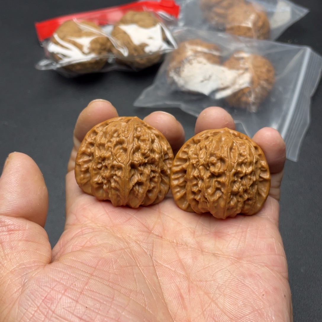 核桃白狮子40尺已打底