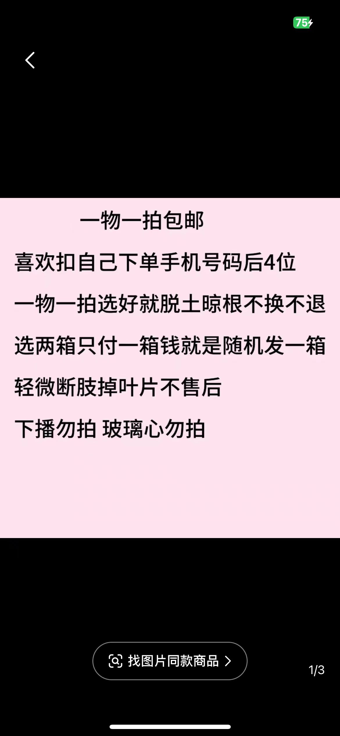 多肉一大箱6盆轻微断枝掉叶不售后（带盆土发货）