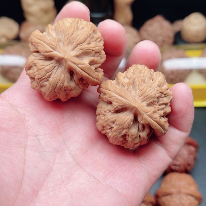 文玩核桃把件红锦鲤狮子头41×39×39