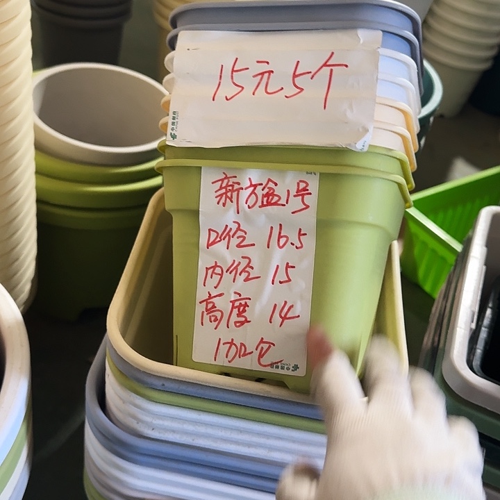 方16口径10个无托果绿新款