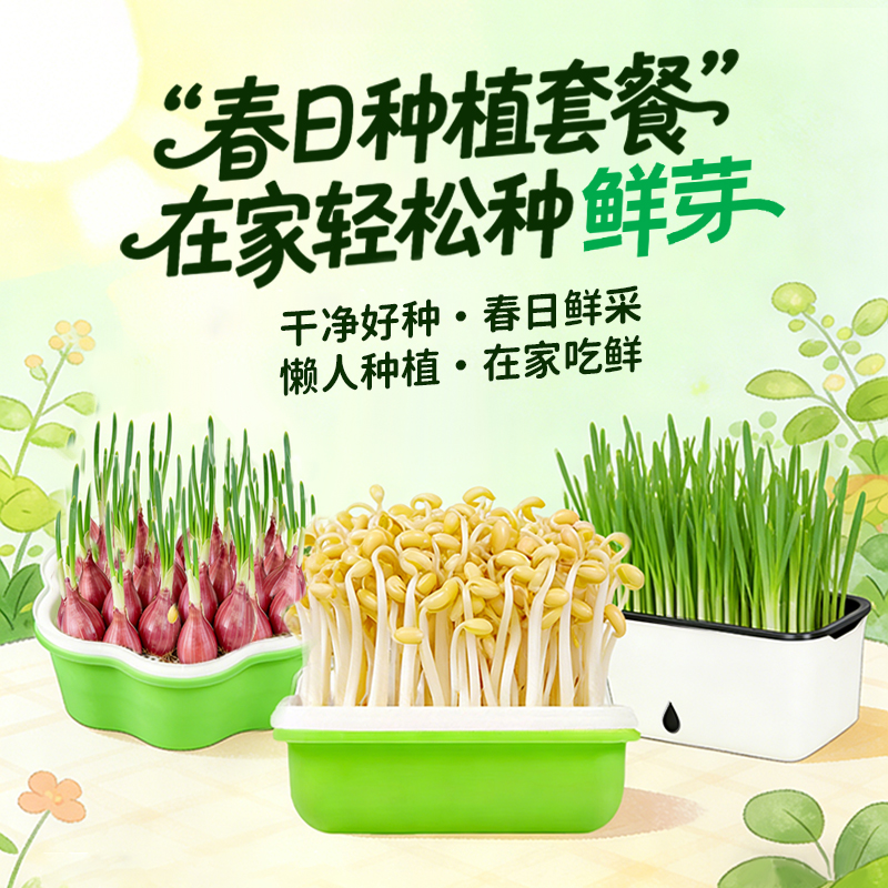 【乡野侣行·春吃芽】豆芽花生芽韭菜火葱头自己种自己收