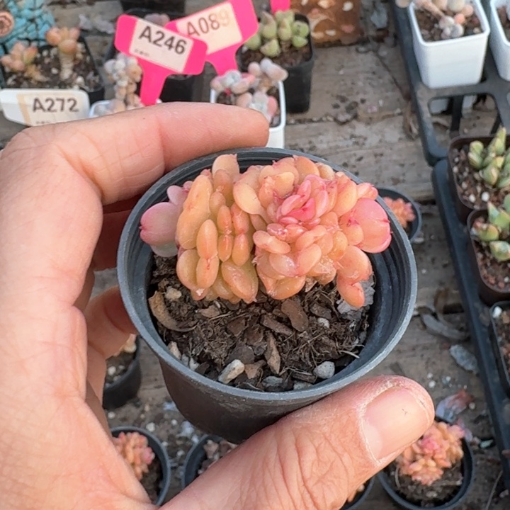 财****?djrdjgjfkfkxjjh072