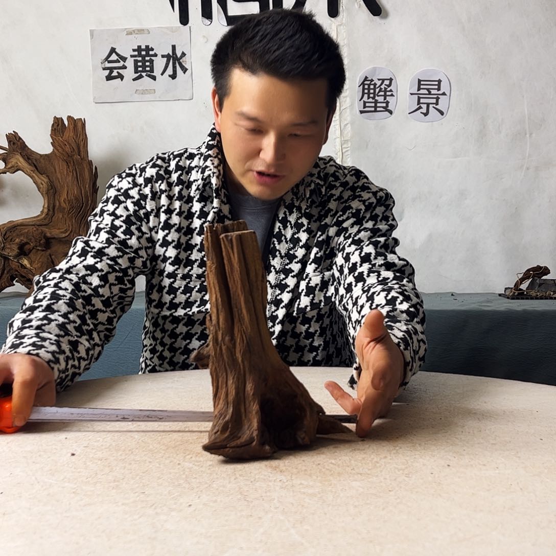 沉木造景爬宠造景