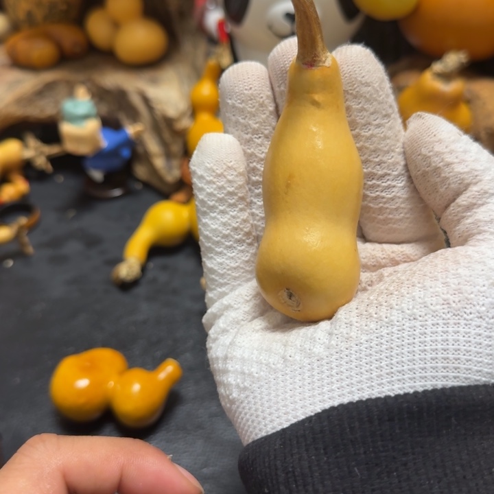 M***G66……………………………………