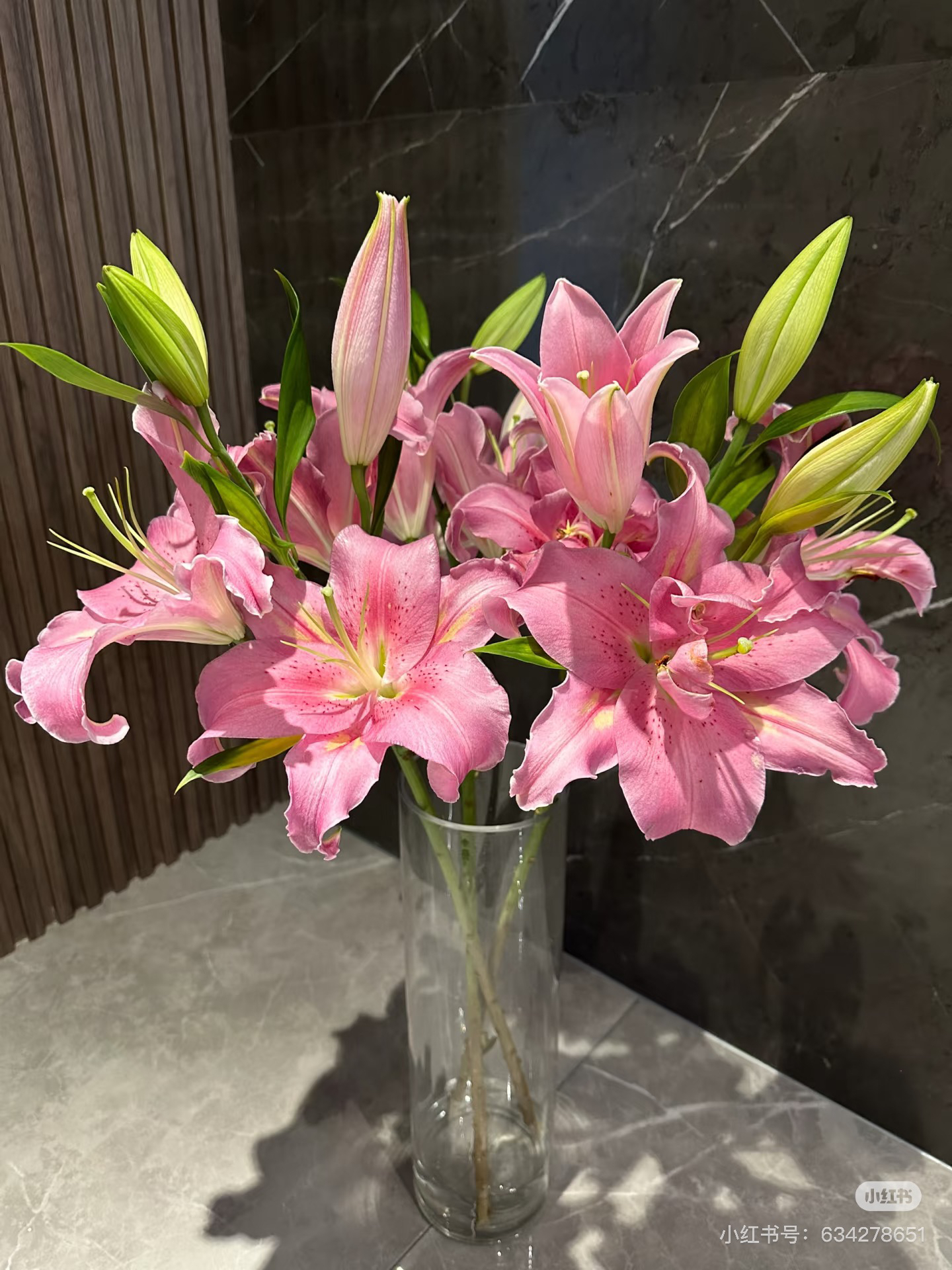 11号荷花百合混头个别畸形，我要买我不售后