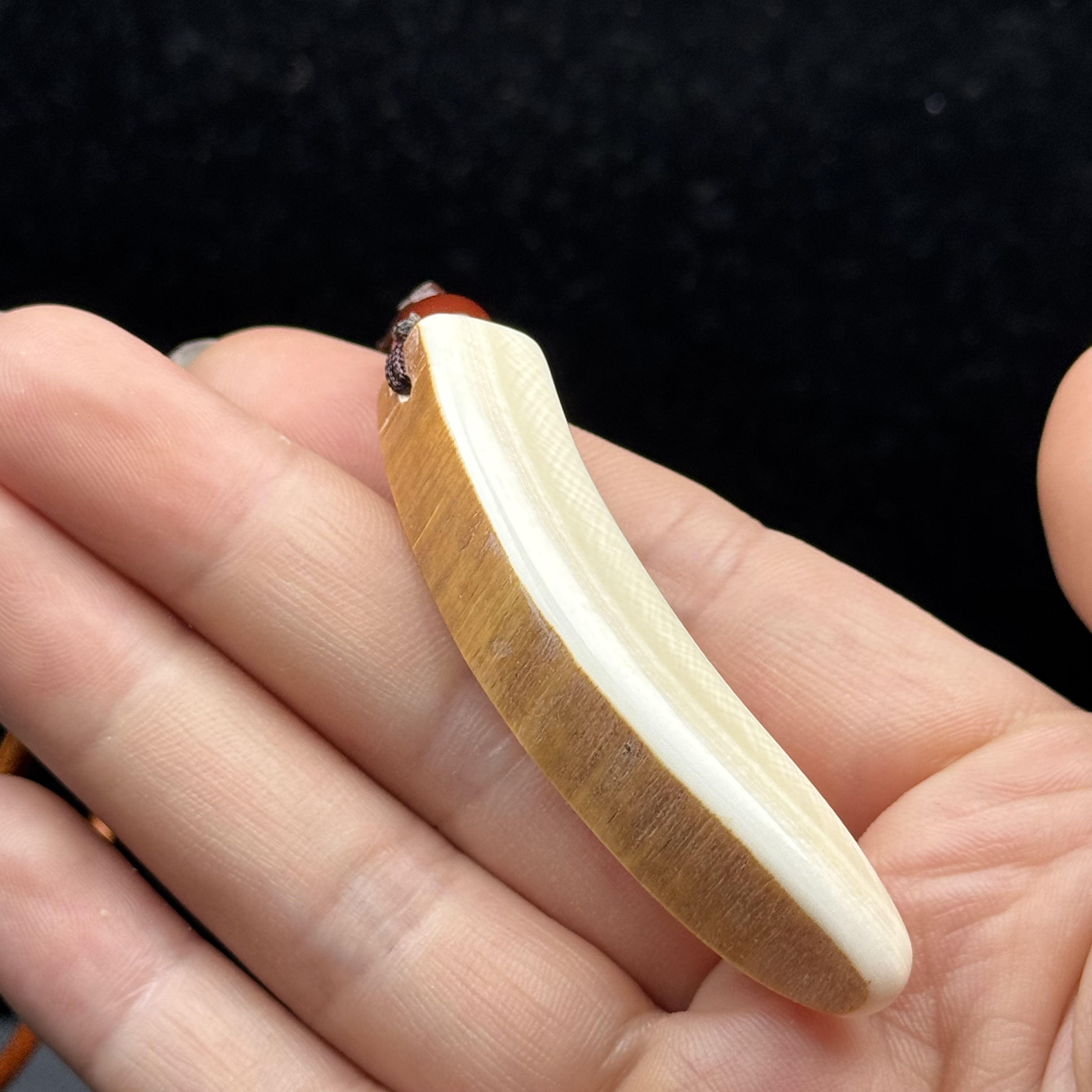 B1616天然猛犸牙 牙尖60mm支持鉴定假一罚四