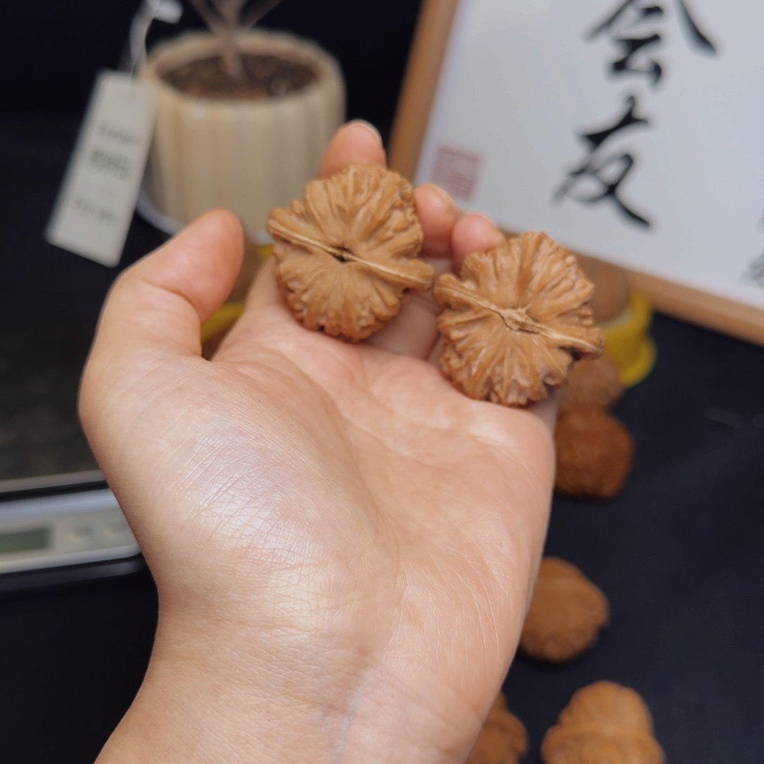 文玩核桃把件琴***浓三角白