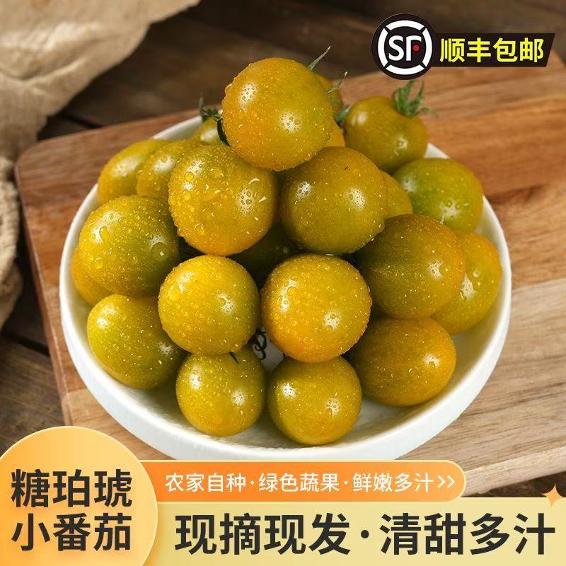 顺丰包邮糖柏琥小番茄酸甜爆汁产地直发新鲜采山东寿光产地直发