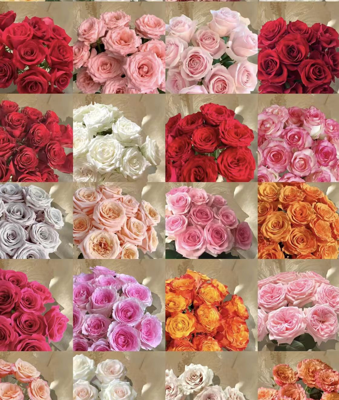 YZ【随机单头玫瑰10支】全场任意满两单鲜花升级快递