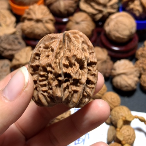 核桃w小连体一个