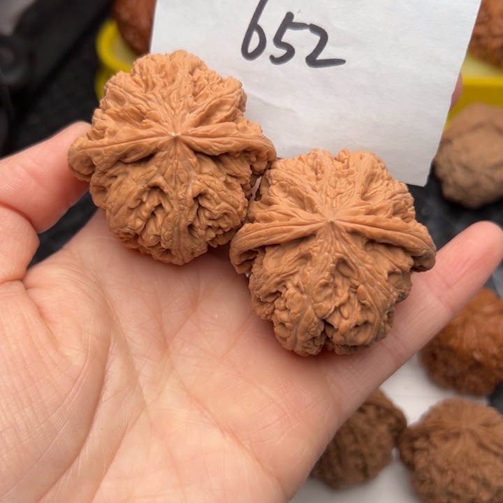 核桃46尺寸粗筋黄尖