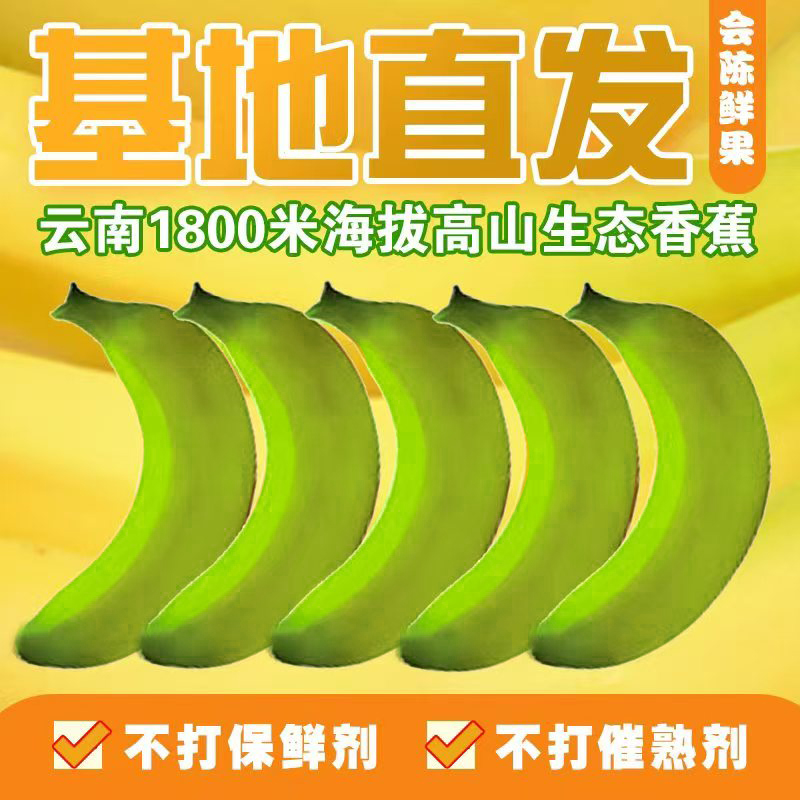 香蕉单果装（中秋特惠福利）