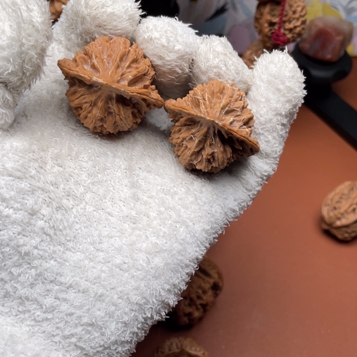 油***面木质类秦时明月的故事是什么啊哈哈