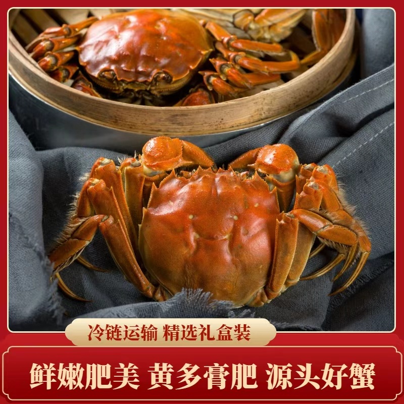 【活蟹】盘锦河蟹（1.6-1.4两/只）18只母蟹 鲜活发货