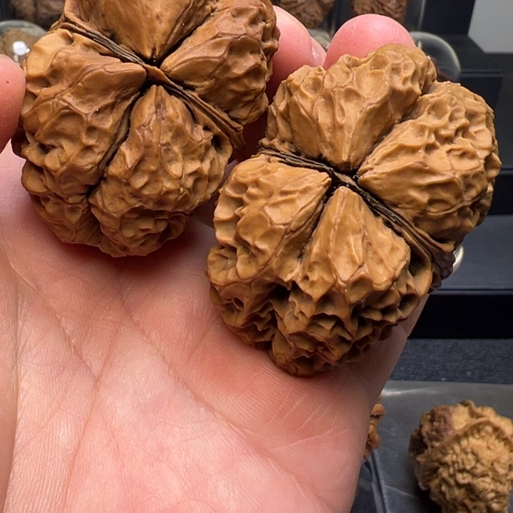 文玩核桃把件苍龙古蟾50mm