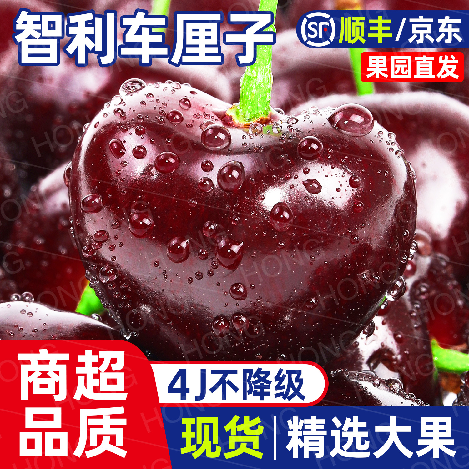【金标大牌】智利进口空运车厘子4J净重2/5斤京东/顺丰内附果径卡