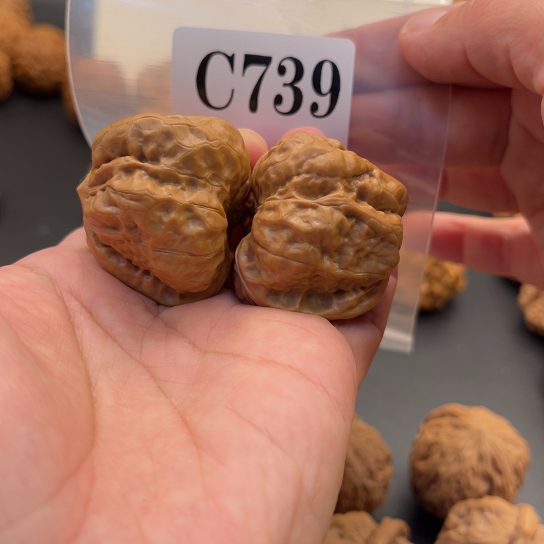 桃核把件蛙蛙福利，39