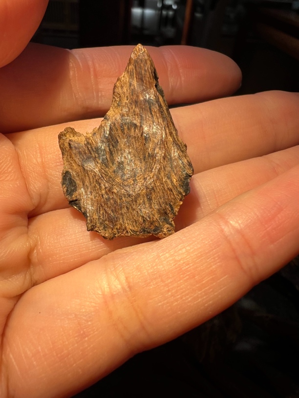 八十年代下树海南沉香1.28克