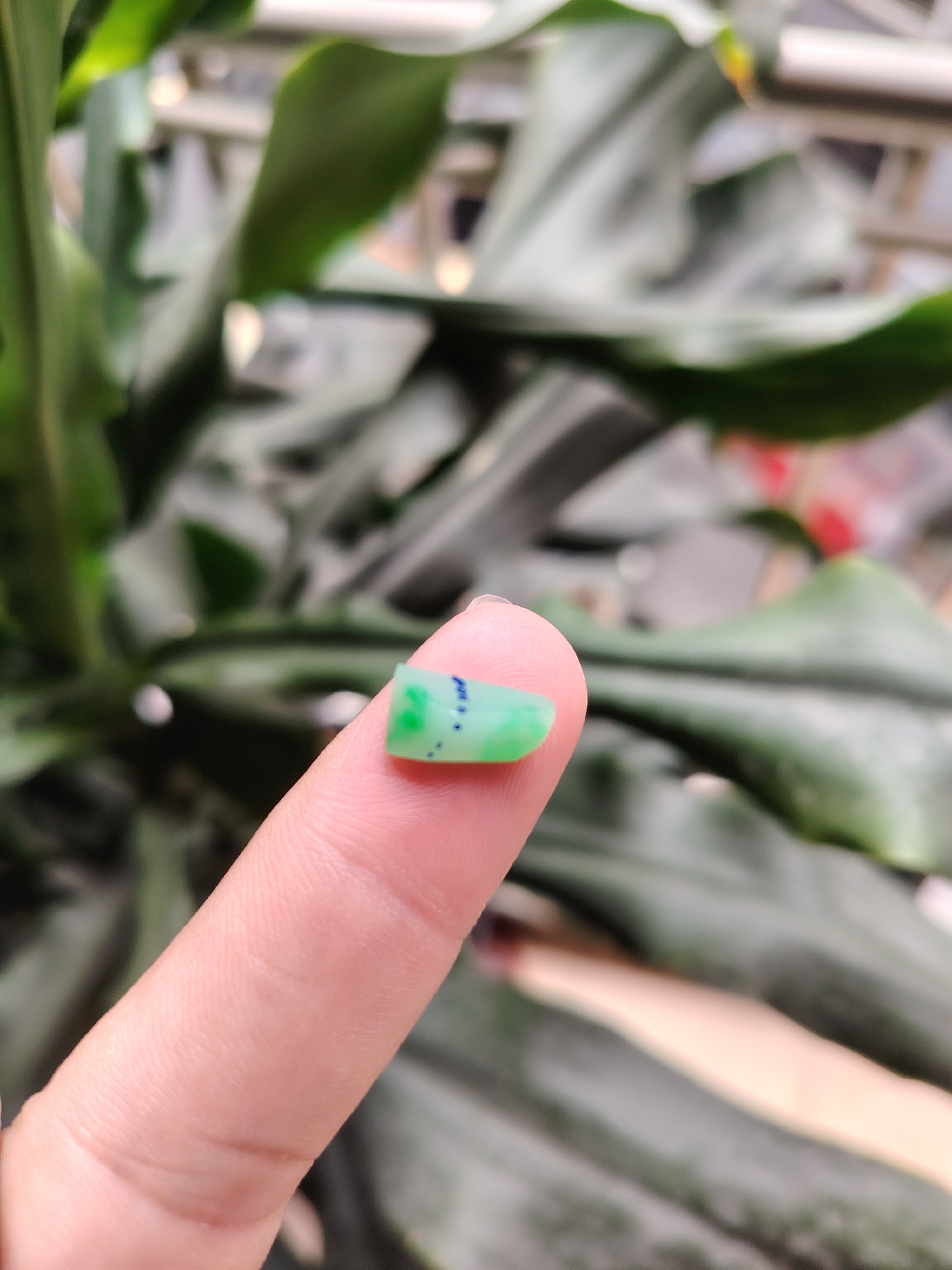 缅甸天然翡翠白底绿色蛋面