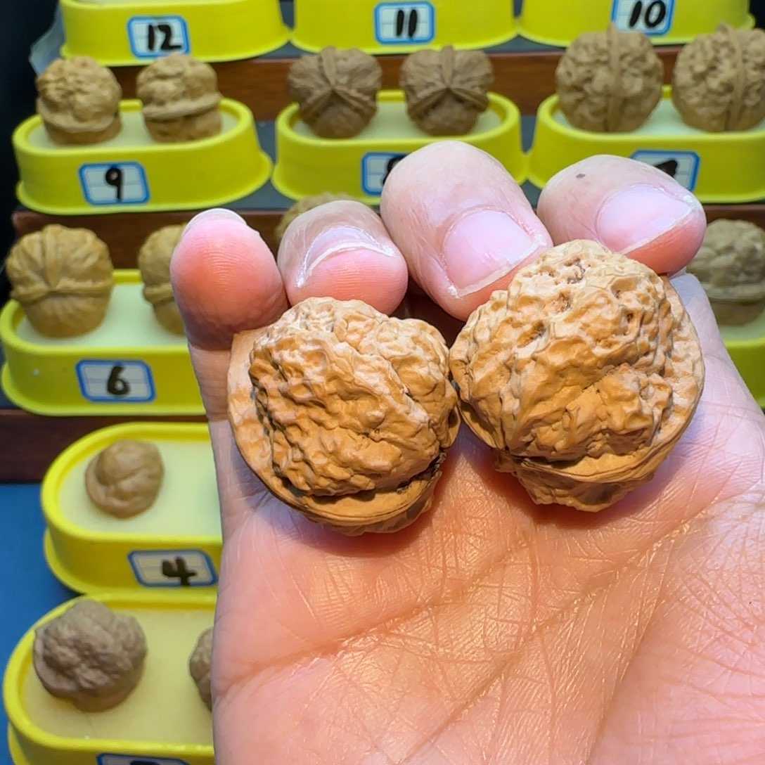 二***弟把件桃核羊头蟾核桃