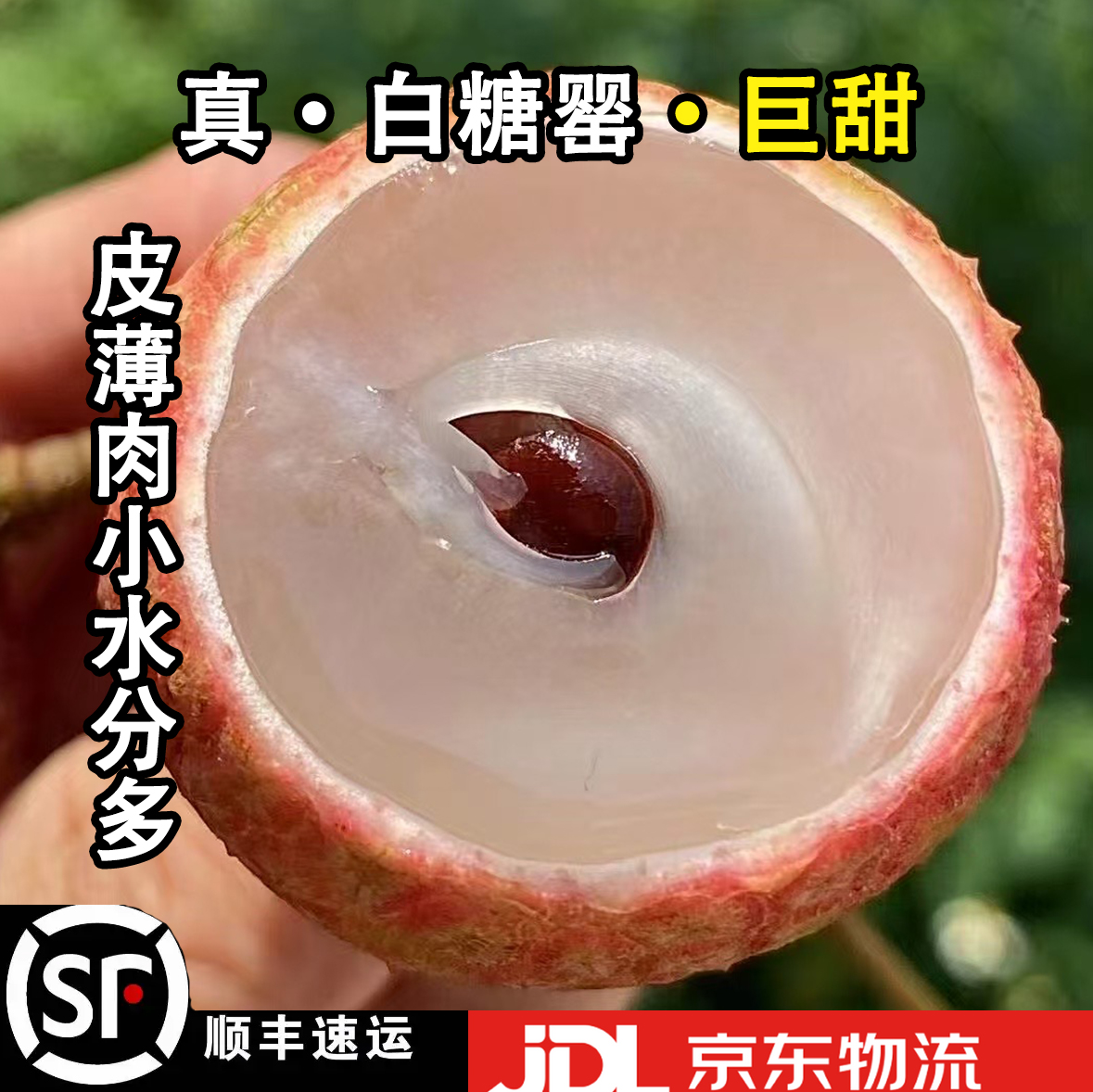 现摘现发【灵山白糖罂】龙武精品大果