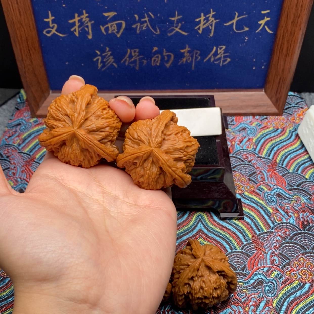 【闪购商品】M****3白狮