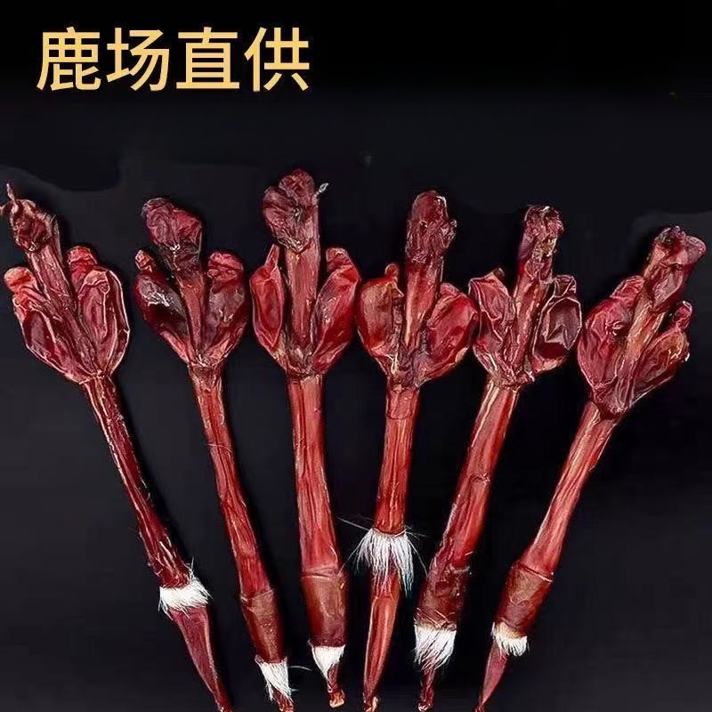 鹿鞭干整根整枝新鲜男泡酒料配人参鹿茸片煲汤调料鹿宝冬阴功汤