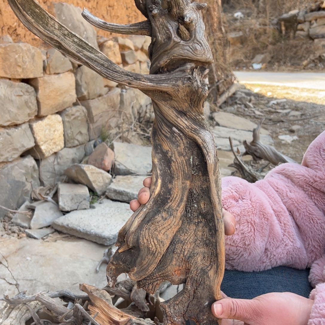 柏木（崖柏）零**痕