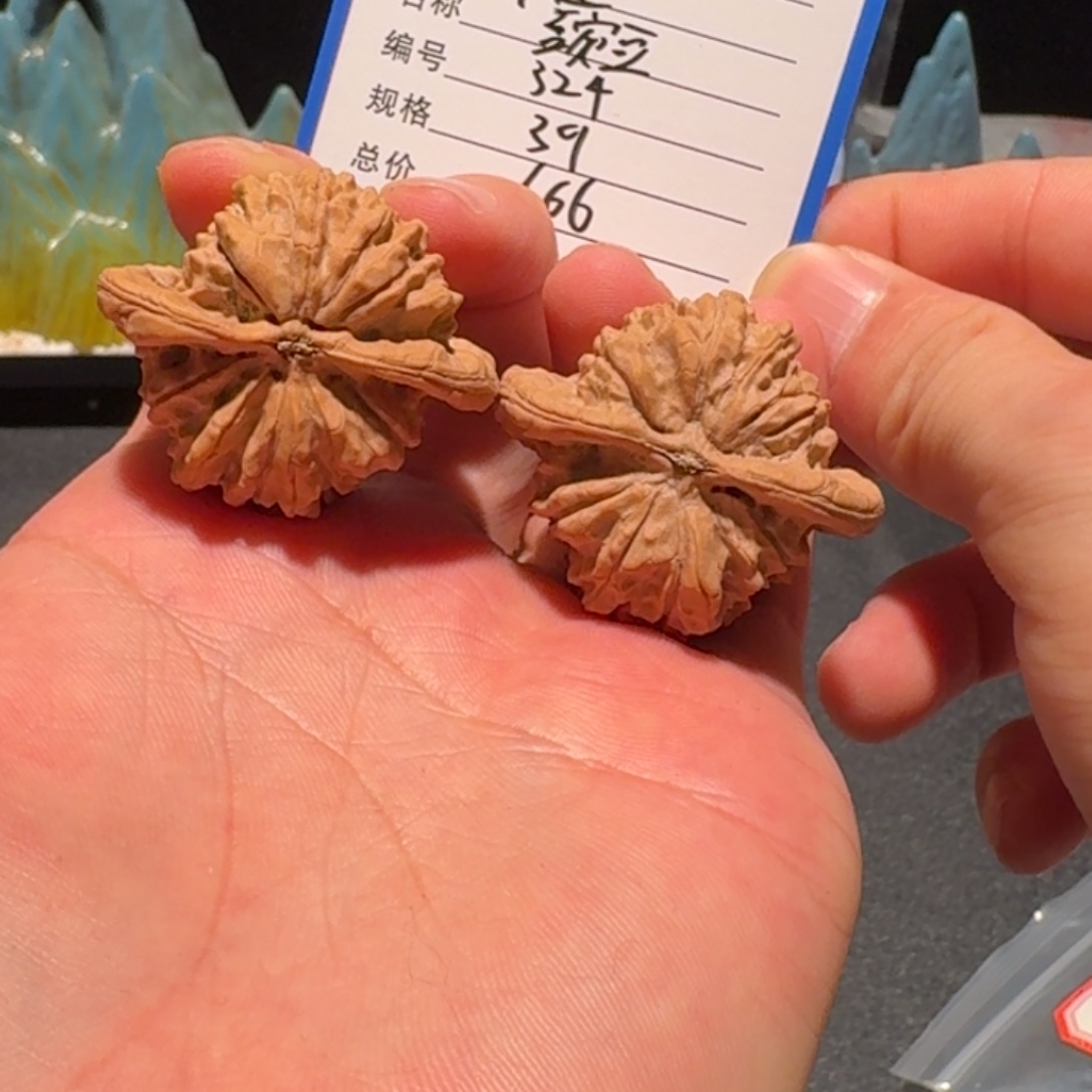 豌***.原生树朱雀编号324