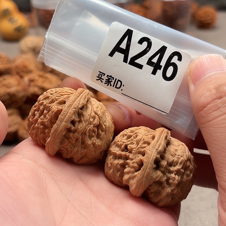 把件文玩核桃白狮子A246