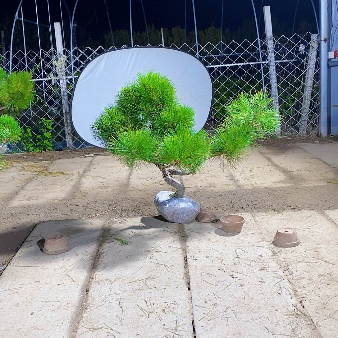 颐***园完全开放111111111111111