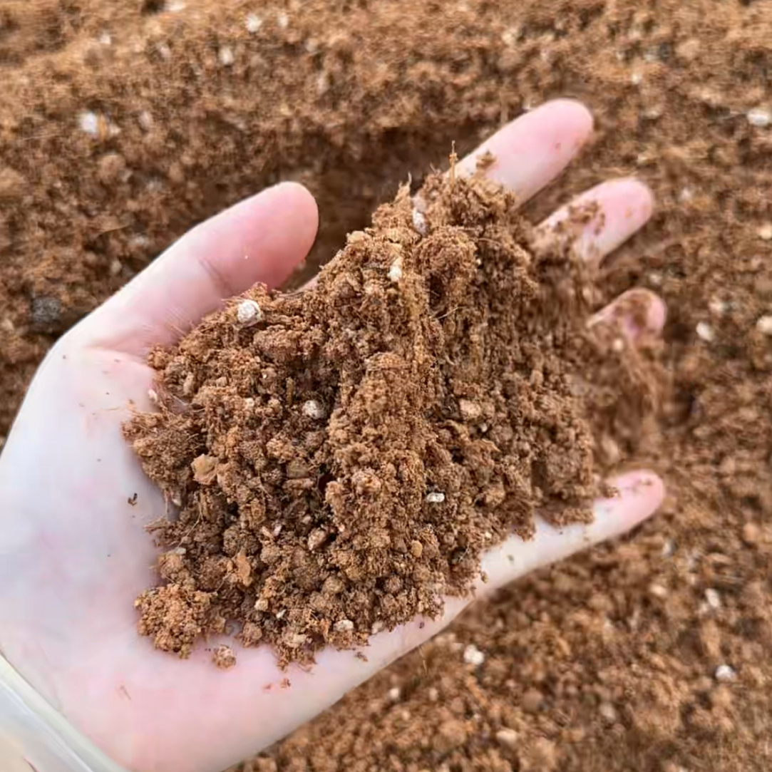茶花专用酸性土红沙土营养土杜鹃绣球喜酸可用（量大私客服寄重货）