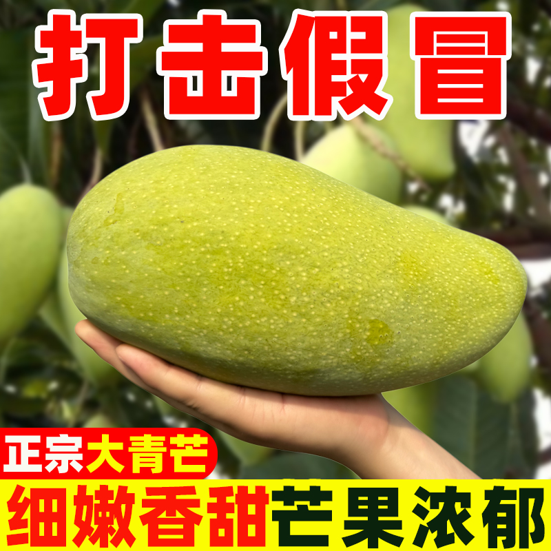 爆甜【生熟可吃】云南大青芒青皮芒果新鲜Z
