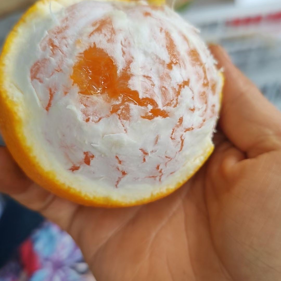 巴东九月红果冻橙新鲜当季水果皮薄甘甜多汁