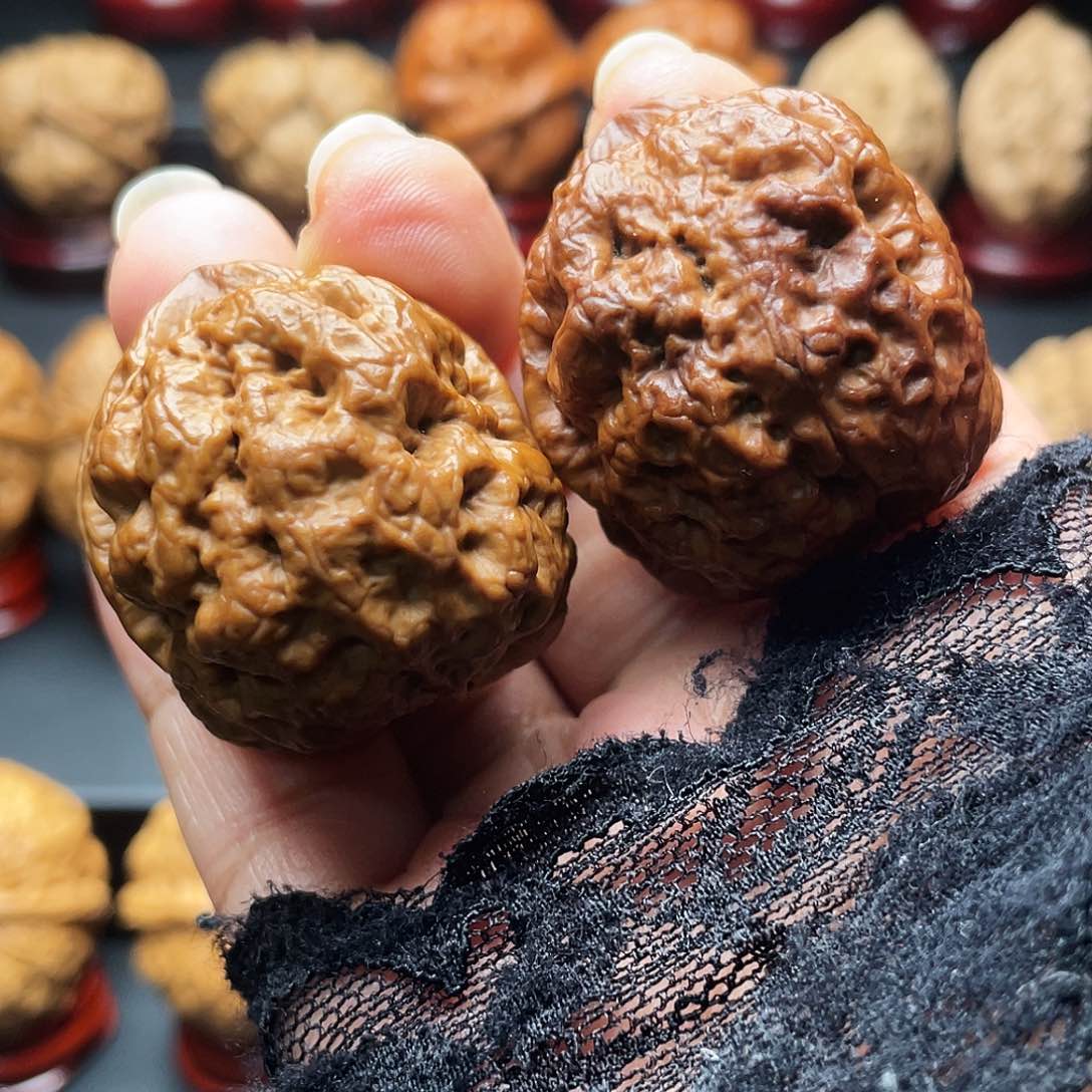 文玩核桃把件三**物…………龟王