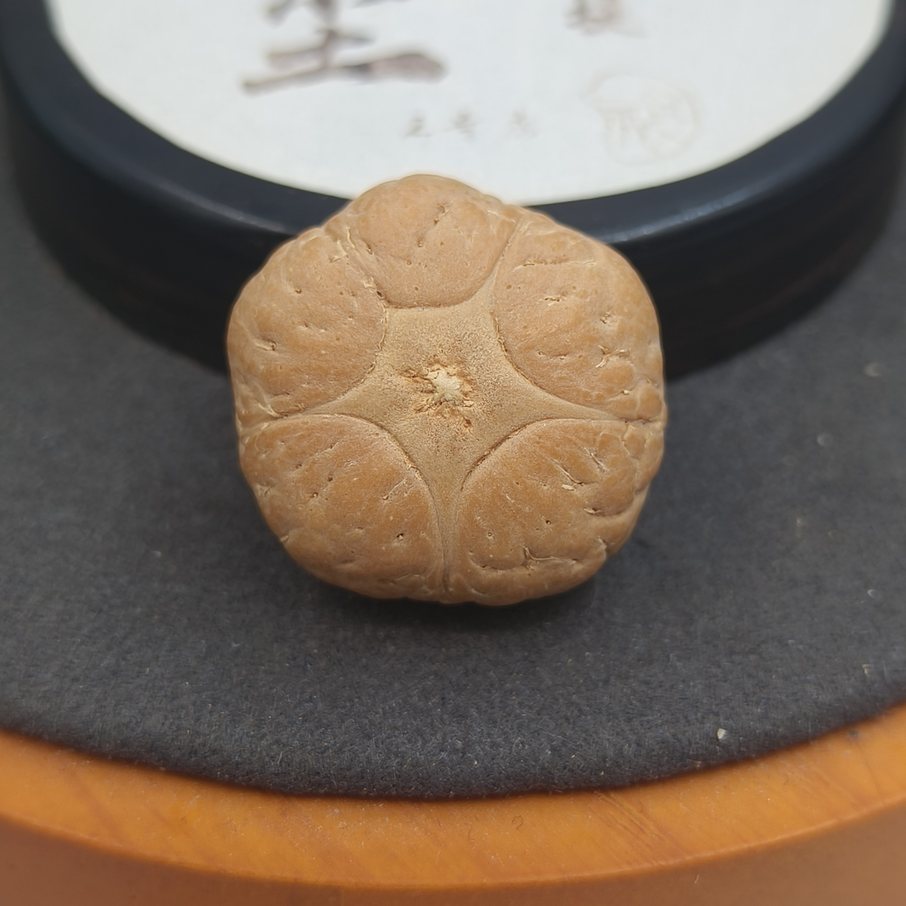 【五星专用链接】尼泊尔五星上将、六芒星、异形、 三通多款凤眼菩提