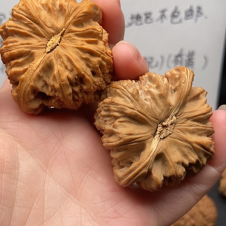 成***7大大大大大大狮子