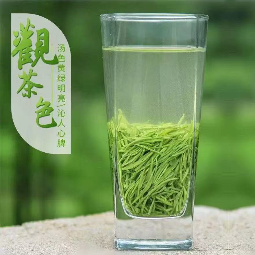 2025年毛尖绿茶茶叶新茶250g/500g