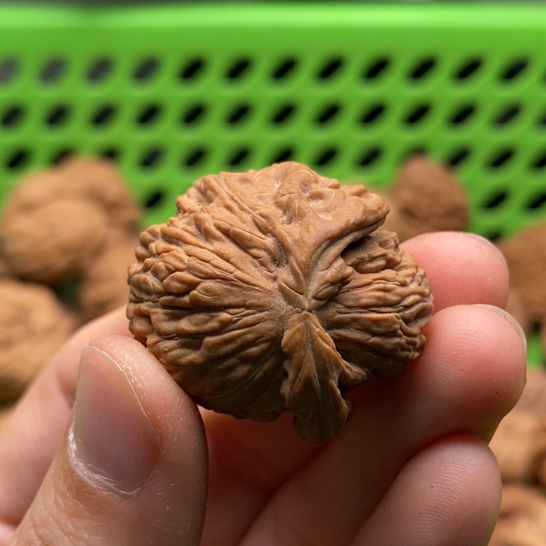 話***叽核桃定制商品不退不换