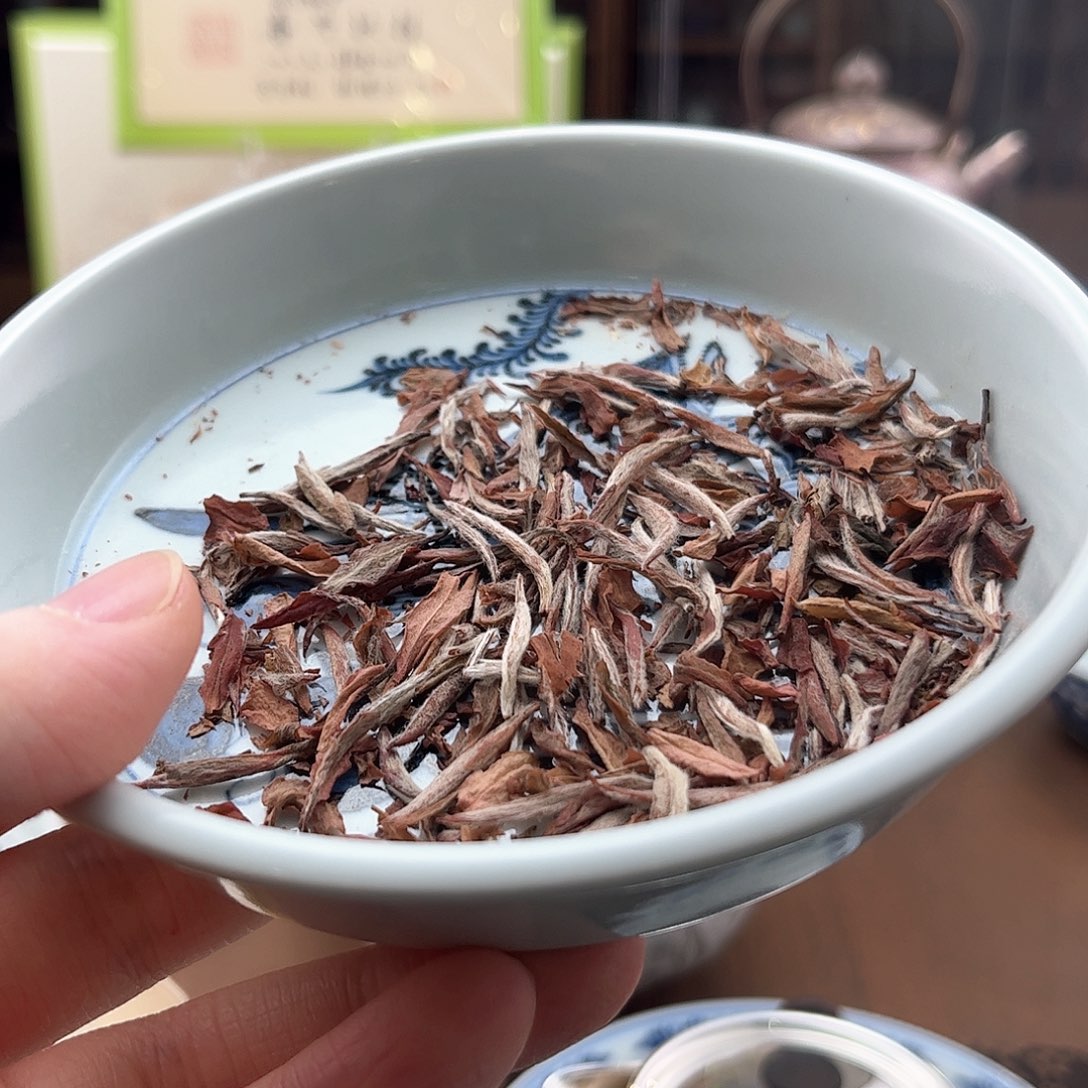 杯25年红杜鹃品鉴套组2泡10g