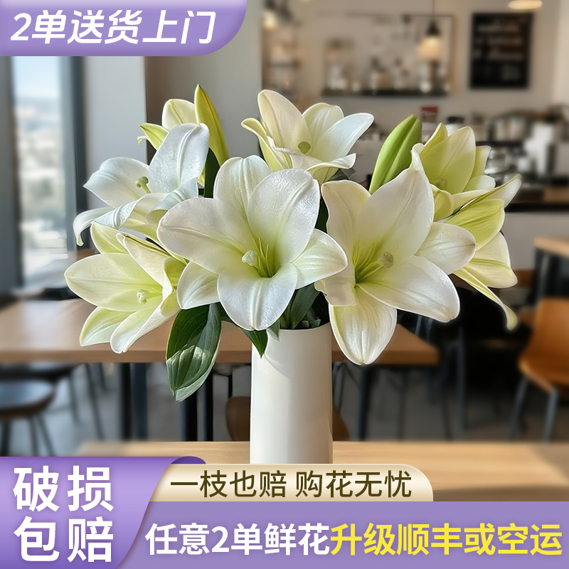 【源头优选】白铁炮香水百合花水养插花用云南直发鲜花