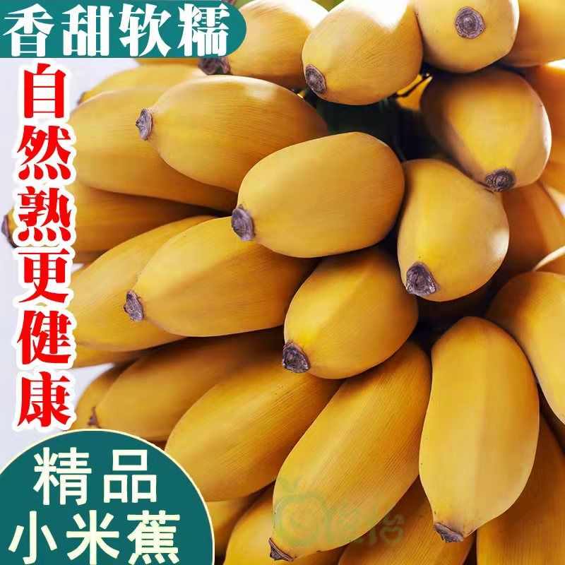 京东顺丰空运包邮海南芭蕉新鲜热带水果整箱包邮芭蕉天然饱满