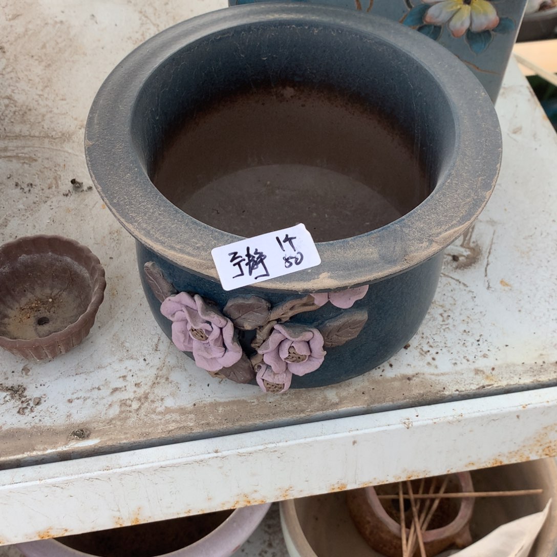 宁静一个盆50啦啦啦啦