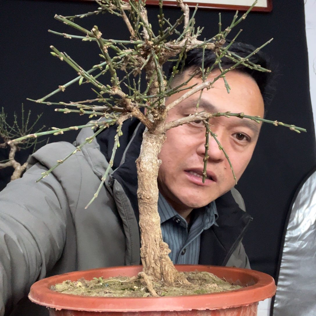 L***l无花朵谢谢你的关心和支持
