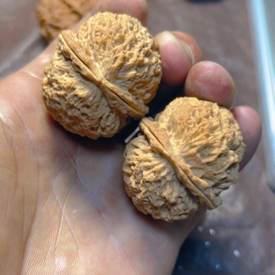 把件文玩核桃卡42蚂蚁窝6号