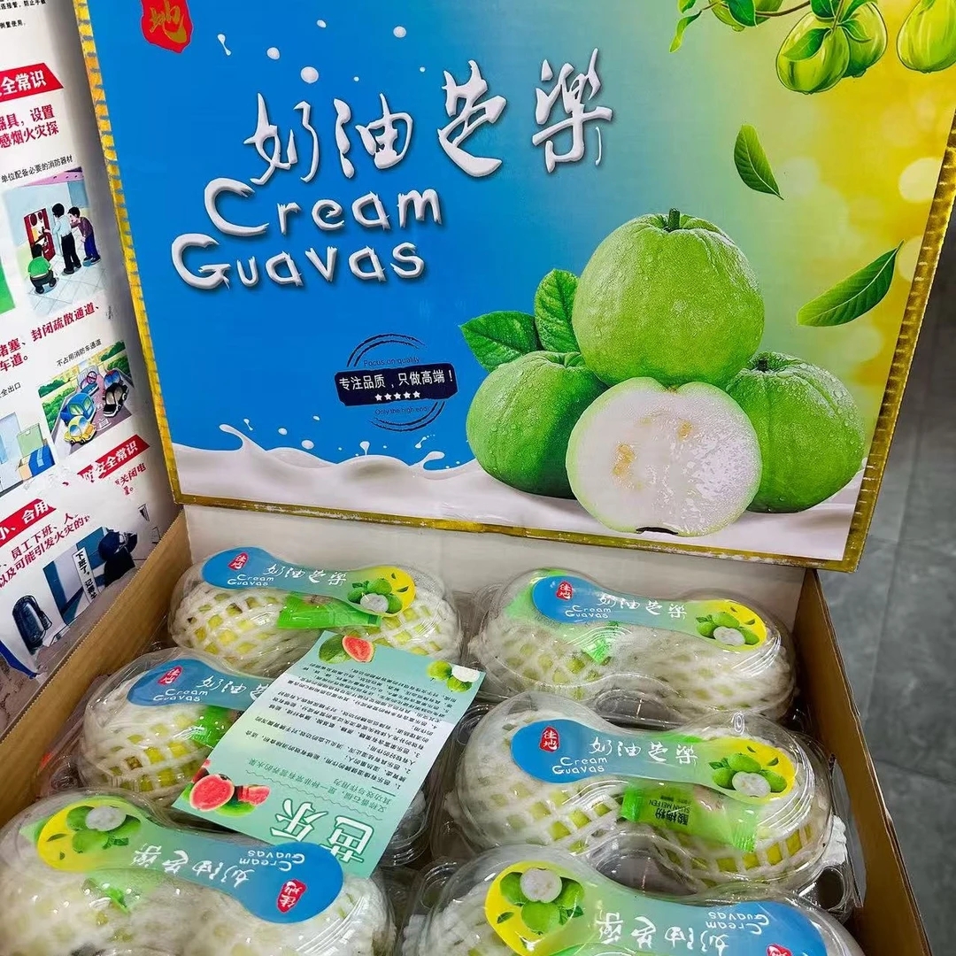 奶油芭乐 发一箱 12枚果