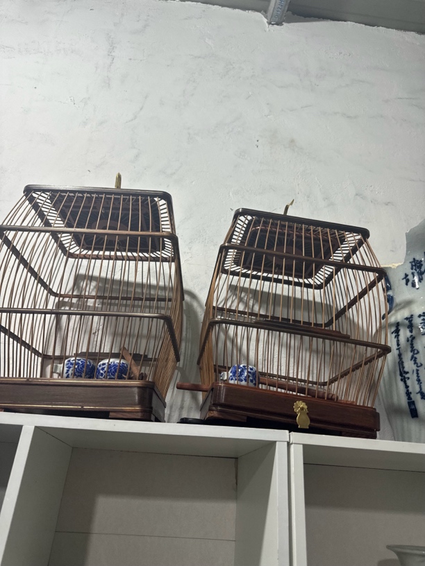 鸟笼子，，，，，，，，，，，，