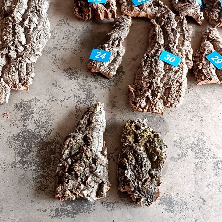 木一物一拍一物一发