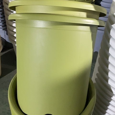 树脂四季8号果绿无托5个微瑕